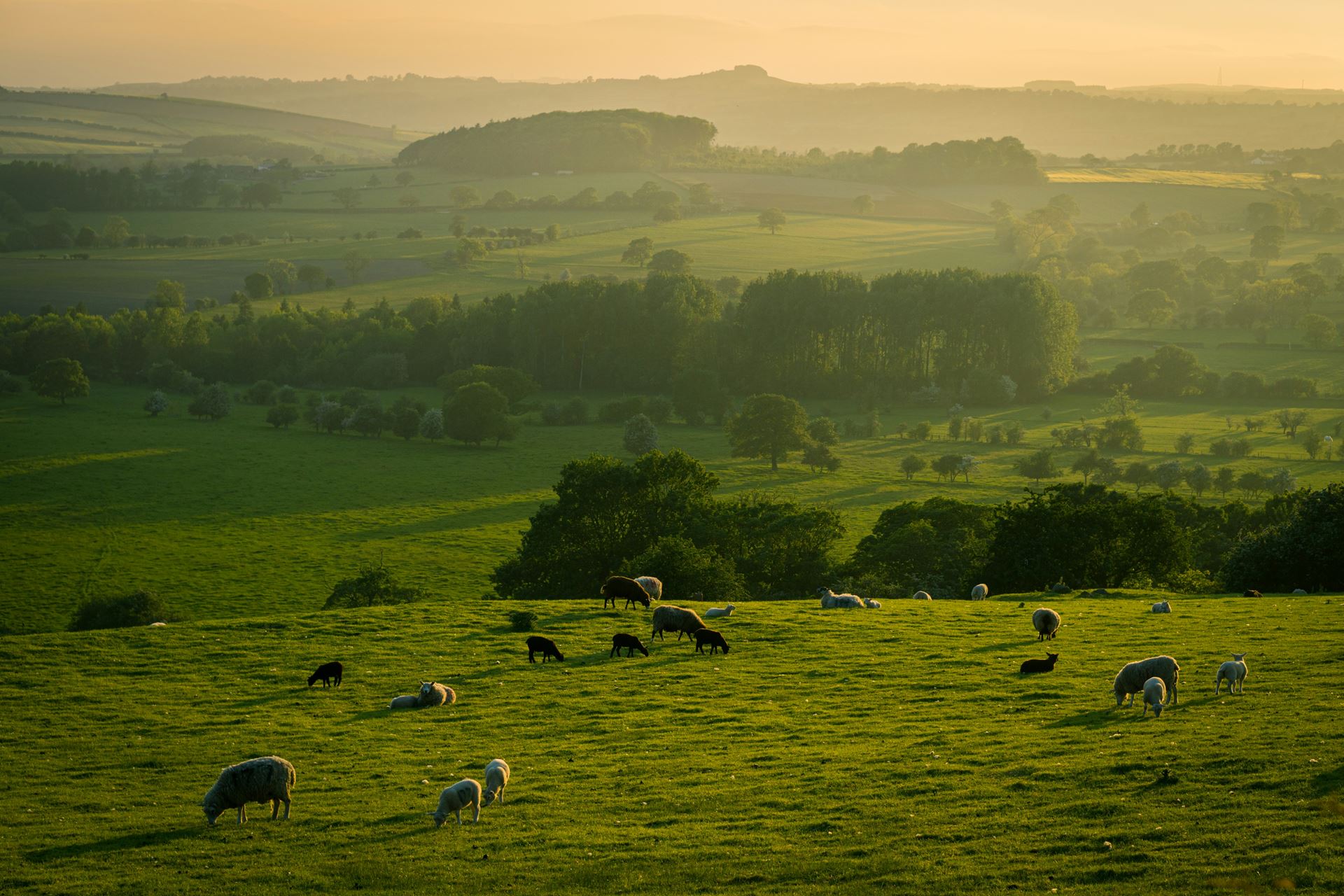 a picture of fields