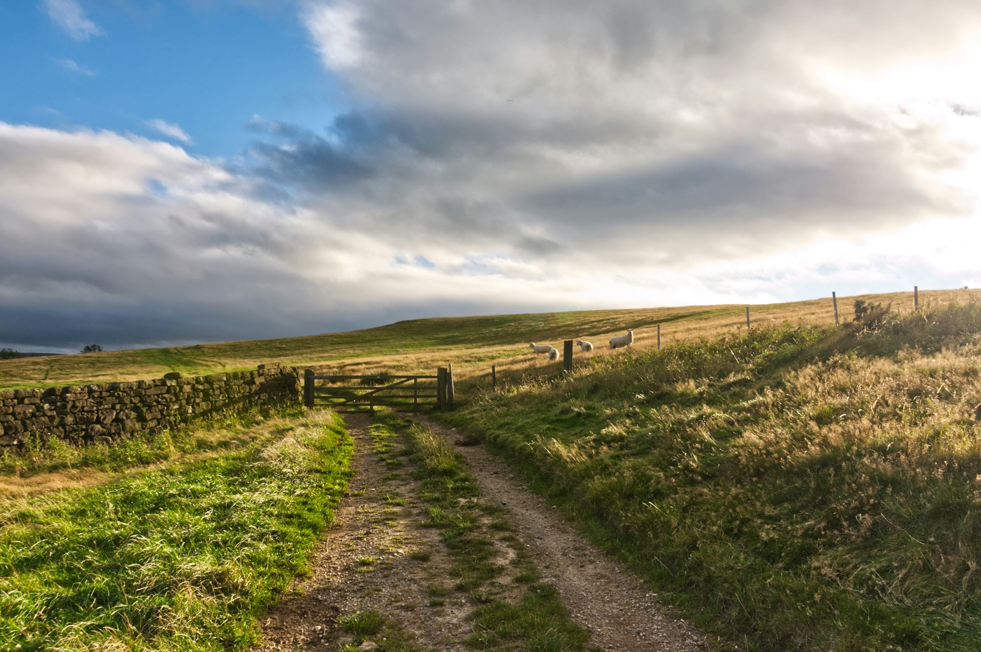 photo of a road in Yorkshire Moors
