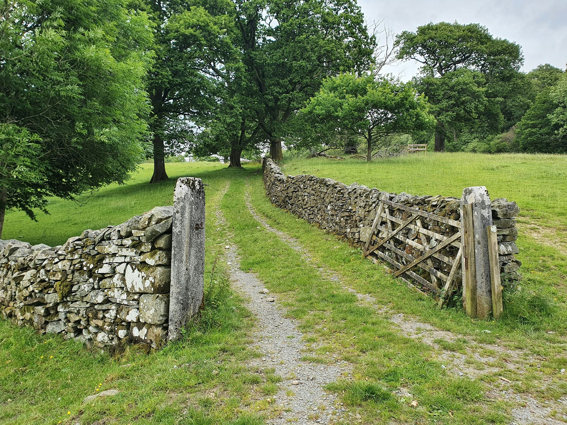photo of fence and gate